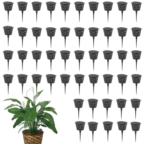 Abono Orquídeas Liberación Lenta Marca Generic