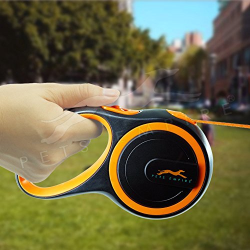 Best Retractable Leashes In India Mix And Grind