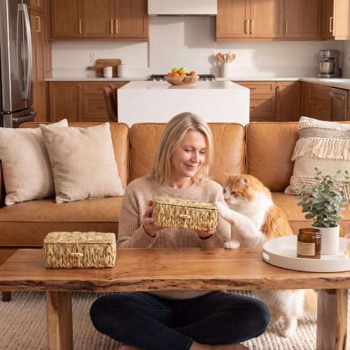 Image of StorageWorks Wicker Basket with Lid, Storage Baskets with Lids, Hyacinth | Woven Baskets with Lids for Shelves, Wicker Storage Baskets with Lids, Lidded Baskets for Organizing, Extra Small, 1 Pack