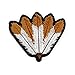 Native Feather Fan Patch Indigenous Honor Prayer Embroidered Iron On