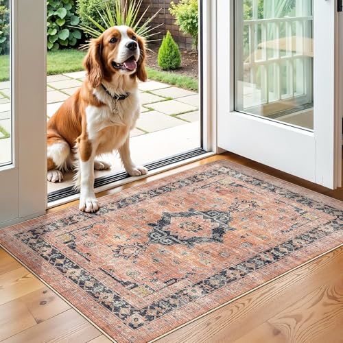Washable 2x3 Small Area Rug: Vintage Indoor Soft Non Slip Door Mat Stain Resistant Carpet for Bedroom Living Room Light Weight Floor Mat for Kitchen Bathroom - Perfect for Homes with Pets (2x3,Orange)