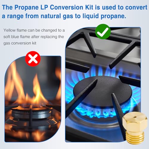 Kit de conversion de buses propane DG96-00686B à filetage précis pour brûleur de table