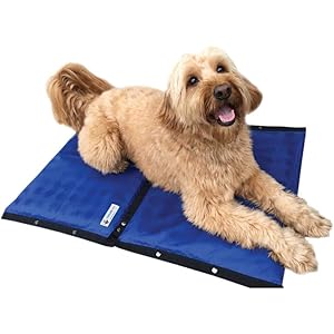 CoolerDog Dog Cooling Pad Dog Cooling Products Hydro Cooling Mat (23″x18″) (2 Pack)