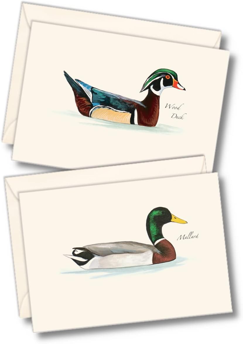 Earth Sky + Water - Sibley Duck Assortment Notecard Set - 8 Blank Cards with Envelopes (4 each of 2 styles)