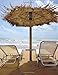 Blank Book Journal: Beach in Paradise Cover Diary Notebook: 8.5 x 11 size 120 gray lined pages!