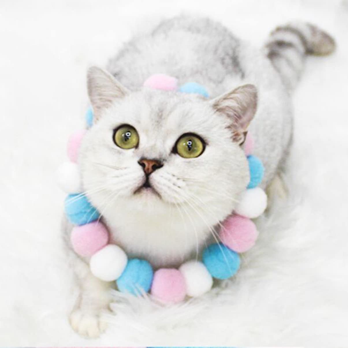 POPETPOP 6pièces Collier pour Animaux De Compagnie avec Boule Peluche Ensemble pour Chiens Et Parfait pour Et