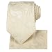 KissTies Cream Ivory Tie Set: Paisley Necktie + Pocket Square + Gift Box