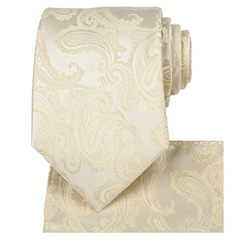Image of KissTies Mens Paisley Tie And Pocket Square Necktie Sets