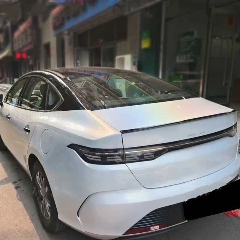 Becquet arrière et accessoires d'aileron noir BYD King 05 - 4