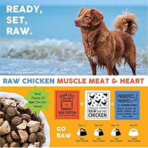 Natures-Diet-Raw-Mix-Kibble-with-Freeze-Dried-Chicken-Superfoods-and-Probiotics - Cucciolini Doodles   Natures-Diet-Raw-Mix-Kibble-with-Freeze-Dried-Chicken-Superfoods-and-Probiotics