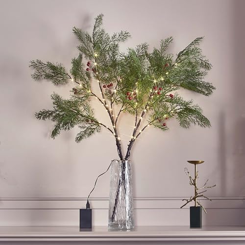LITBLOOM Lighted Pine and Red Berry Branches 60 LED Fairy Lights with Timer, Twig Branches with Lights 32IN Battery Operated and USB Plug in for Home Fireplace Christmas Decoration