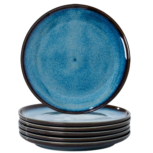 Jusalpha Set of 6 Ceramic Dinner Plates, 10 Inch, Dark