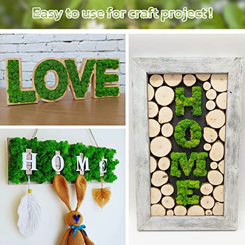 Riare 5.3Oz Artificial Green Moss For Crafts- Premium Faux Moss For Potted Plants Indoor, Decorative Moss For Micro-Landscape Terrariums Decor Fairy Garden Lawn Crafts #TOP4