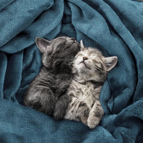 Image of Utopia Bedding Fleece Blanket Twin Size Grey 300GSM Luxury Anti-Static Fuzzy Soft Microfiber Dorm Bed Blanket (90x66 Inch)