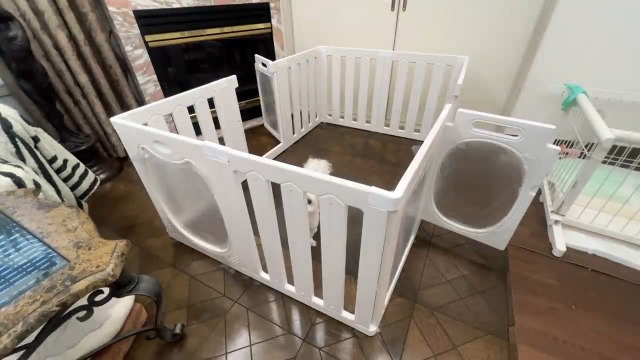 Mirenkolu ペットサークル 10枚セット 60cm Amazon | Miren 犬サークル 室内 ペットサークル 8枚セット 透明