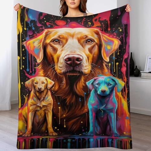 Manta para sofá y cama de perro mullida en franela suave 2