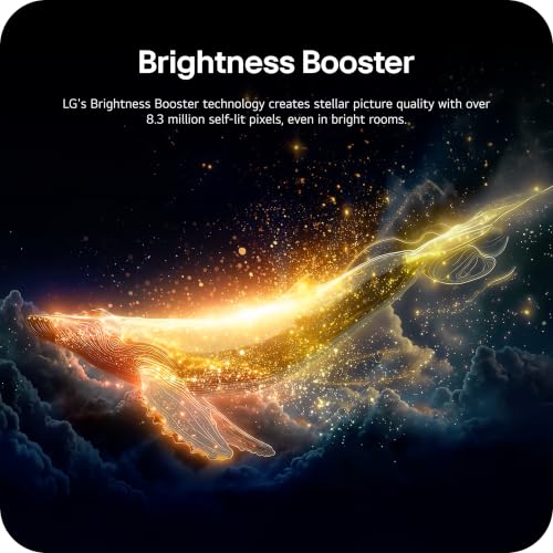 LG C6 OLED evo 65-Inch TV