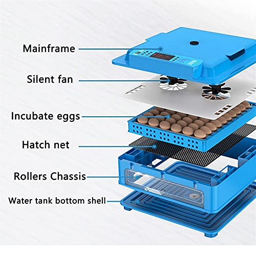 YAWEDA Vollautomatische Inkubator, Brutmaschine Eier automatisch drehen Brutapparat mit LED Temperaturanzeige Temperatur… – Bild 3