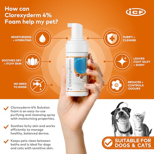 Shampoos für Haustiere Clorexyderm Sol 4% 100 Ml