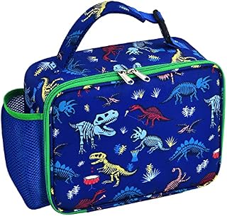 Dinosaur Lunch Bag - Dinosaur Fossils Insulated Lunch Box for Boys Kids Daycare Preschool Picnic Outdoor Lunch Tote Bag Waterproof Reusable Lunch Handbag with Handle and Pocket