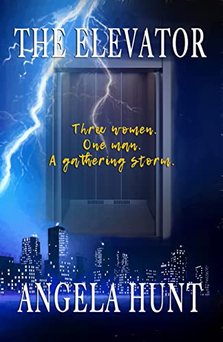  The Elevator (English Edition)
