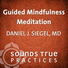 Guided Mindfulness Meditation Audiolibro Por Daniel Siegel MD arte de portada