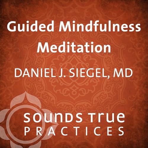 Guided Mindfulness Meditation cover art