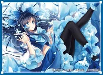 東方Project　風見幽香　逸遊団　スリーブ 東方Project カードスリーブ第106弾「霊烏路空」 -逸遊団