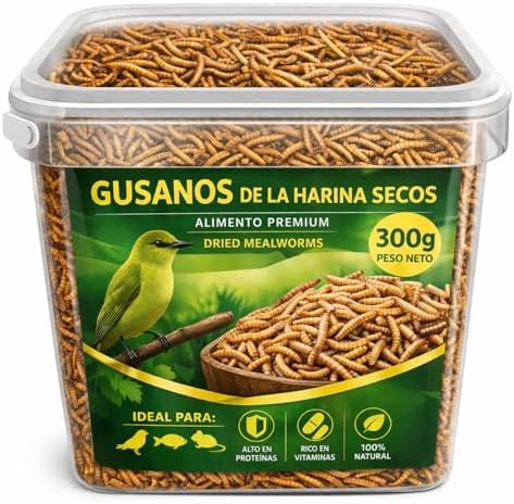 AF® Gusanos de la Harina Deshidratados 300g, 2,5L Tenebrios Molitor Natural para Reptiles, Erizos y Gusanos para Pájaros, Snack Alto en Proteína 52%, Comida para Vencejos 100% Natural