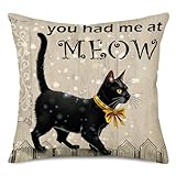 Hopyeer Cotton Linen Throw Pillow Covers Cute Animal Pet Black Cat Design Pillowcase Rustic Wood Grey with You Had Me at Meow Words Standard Cushion Cover for Sofa Couch Lover Gift 18'x18' (CA-Meow)