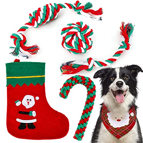 6個パック クリスマス 犬用おもちゃキット サンタ犬 バンダナ 靴下 子犬 ロープ おもちゃ キャンディー ケイン ボール コットン ノット 噛むおもちゃ 小さな子犬用 ペット ギフト アクセサリー ティーチング 歯のクリーニング用品 赤と緑