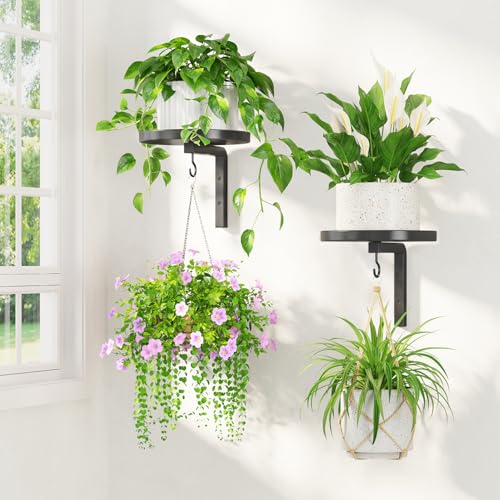 LASZOLA Wall Mounted Metal Plant Hangers
