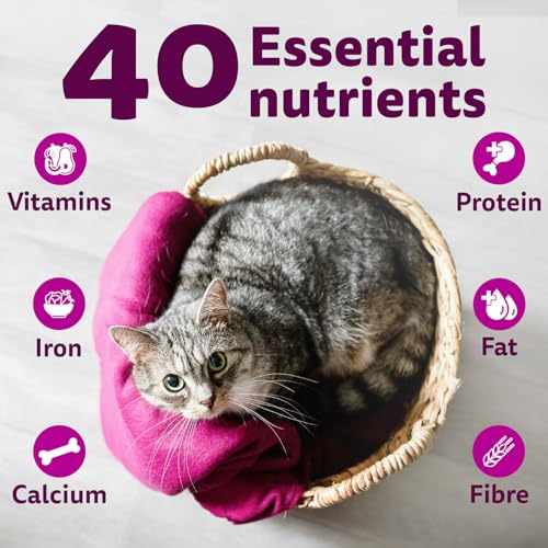 Image of Whiskas Adult (1+ Years) Dry Cat Food, Rohu Fish Flavour, 1.2 kg, Powered with 40 Essential Nutrients, Complete & Balanced Nutrition for Adult Cats (Pack of 4)