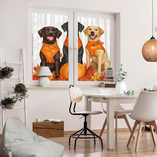 Película Vinílica Decorativa para Ventanas 17.7 x 23.6 pulg 2 Pzas miniatura 5