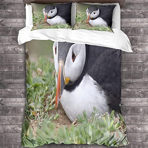Housse de couette 3D animaux microfibre King 220x240cm - 3