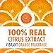Ajax Triple Action Dish Liquid-Orange - 28 oz