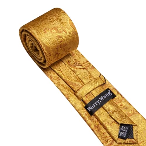 Image of Barry.Wang Paisley Tie for Men Silk Woven Necktie and Tie Clip Set Wedding Party Business Formal