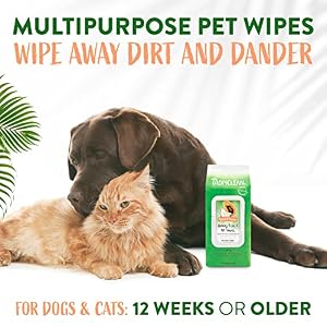 TropiClean Papaya & Coconut Dog Wipes for Paws and Butt | Deep Cleaning Dog Grooming Wipes | Safe for The Face | Cat Friendly | 100 Count TropiClean Papaya Coconut Dog Wipes for Paws and Butt Deep Cleaning Dog Grooming Wipes Safe for The Face Cat Friendly 100 Count