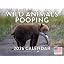 Animals Pooping