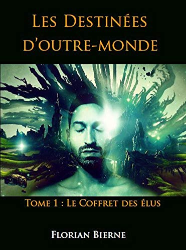 Les Destinees D Outre Monde Tome 1 Le Coffret Des Elus Ebook Bierne Florian Amazon Fr