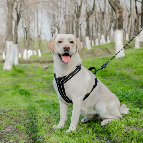 XFSRG Reflektierendes Hundegeschirr Y Design mit Griff Verstellbares Brustgeschirr für Mittelgroße und Große Hunde Hundezubehör (Schwarz L)