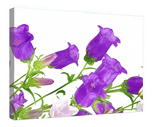 Impression sur toile cloches bleues 40,6 x 50,8 cm avec cadre bois de décoration