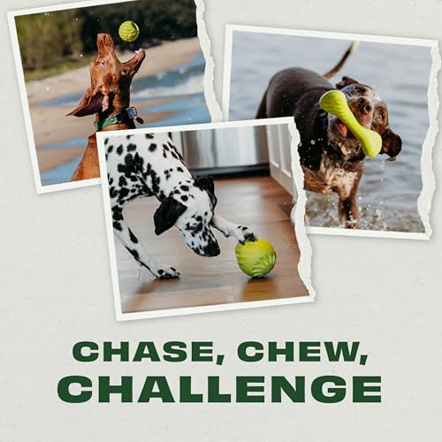 Image of Benebone Ball /Bone Medium /Pawbler Rubber Pet Toys, 3-Pack