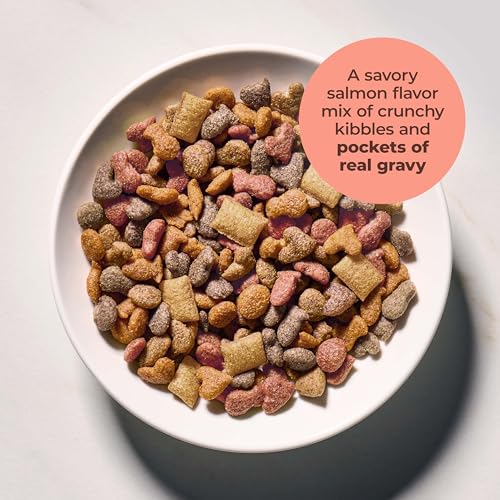 Image of Meow Mix Gravy Bursts, Savory Salmon Flavor Kibble Mix, Gravy Filled Dry Cat Food, 3 lb. Bag