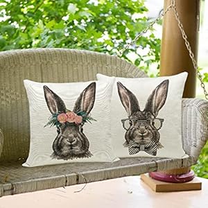 Hlonon easter decorations throw pillow cover set of 2 farmhouse decorative pillows rabbits home decor rustic for spring easter 18 x 18 in  urban country home decor
