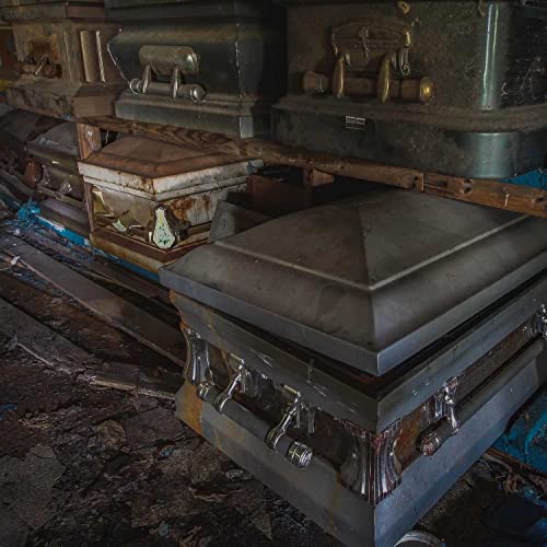 The Crimes of Alonzo Robinson