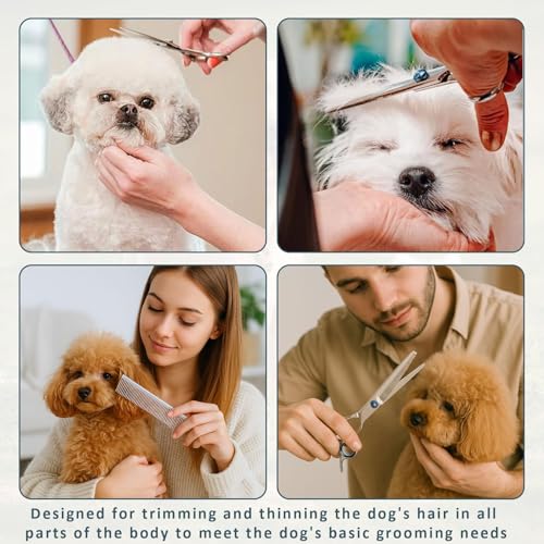 4 Stück Hundeschere Gebogen,Hunde Schere,Hundescheren Set,Mit 1 Geraden Schere,1 Gebogene Schere,1 Fellpflegekamm,für Fellpflege Hund Katze Haustier,für Ganzkörper,Gesicht,Nase,und Ohr
