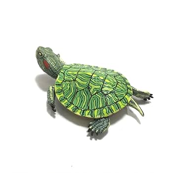 ネイチャーテクニカラー　日本のカメ　クサガメセット ネイチャーテクニカラー NTC 日本のカメ クサガメ 黒化型 台座