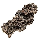 KALIFANO Authentic Prehistoric Dinosaur Coprolite Feces Trace Fossil - Fossilized Dinosaur Dung Poop...