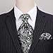 HISDERN Ascots Ties for Men Black Cravat Paisley Floral Cravats Pocket Square Set Silver Classic Mens Scarf Self Tie Handkerchief for Wedding Party